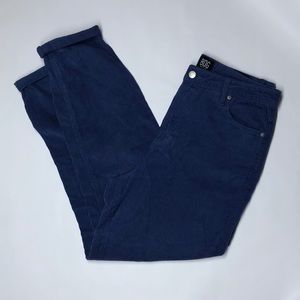 BDG blue corduroy pants